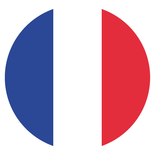 language flag